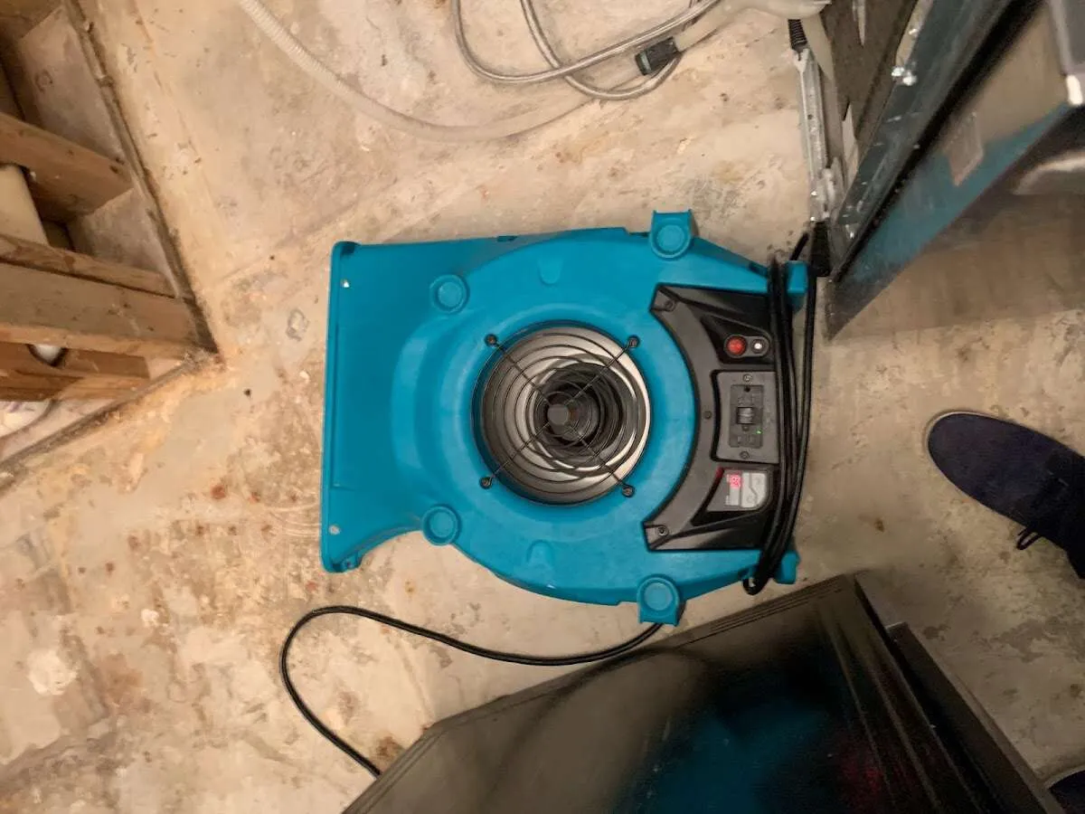 Air mover drying equipment for Mold Remediation & Removal in Sarasota