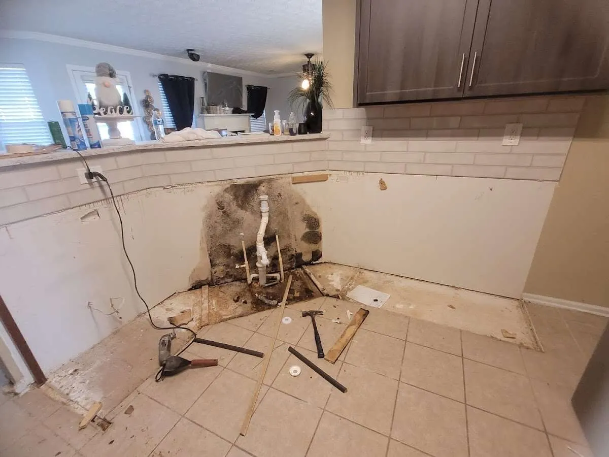 Mold behind wall with plumbing during Flood Damage Cleanup in Sarasota